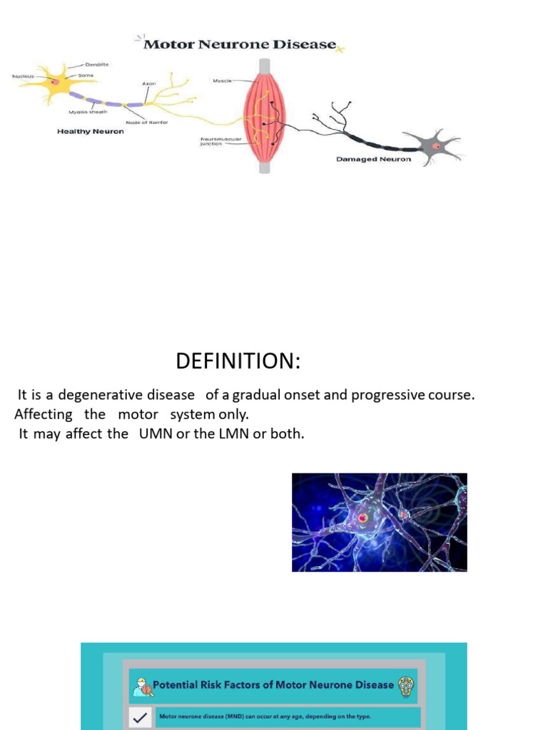 Understanding Motor Neuron Disease (MND) | PDF | Anatomical Terms Of ...