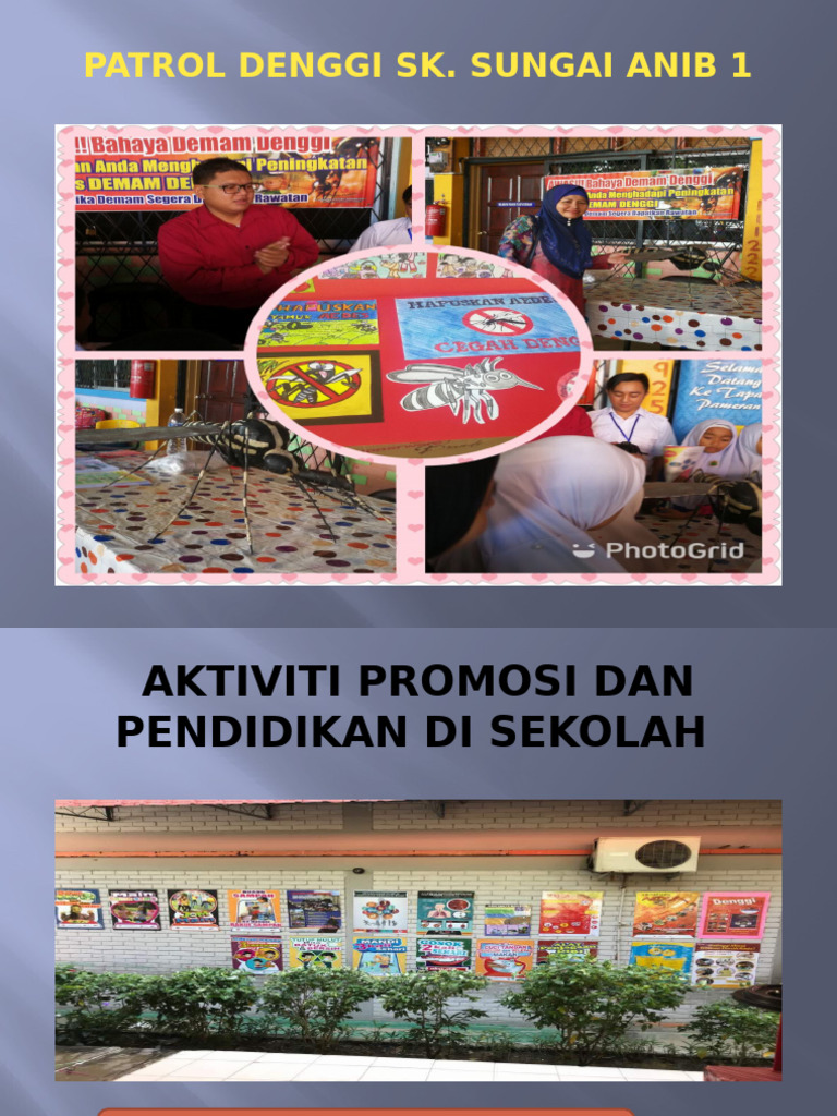 Patrol Denggi SK SG Anib 1 | PDF