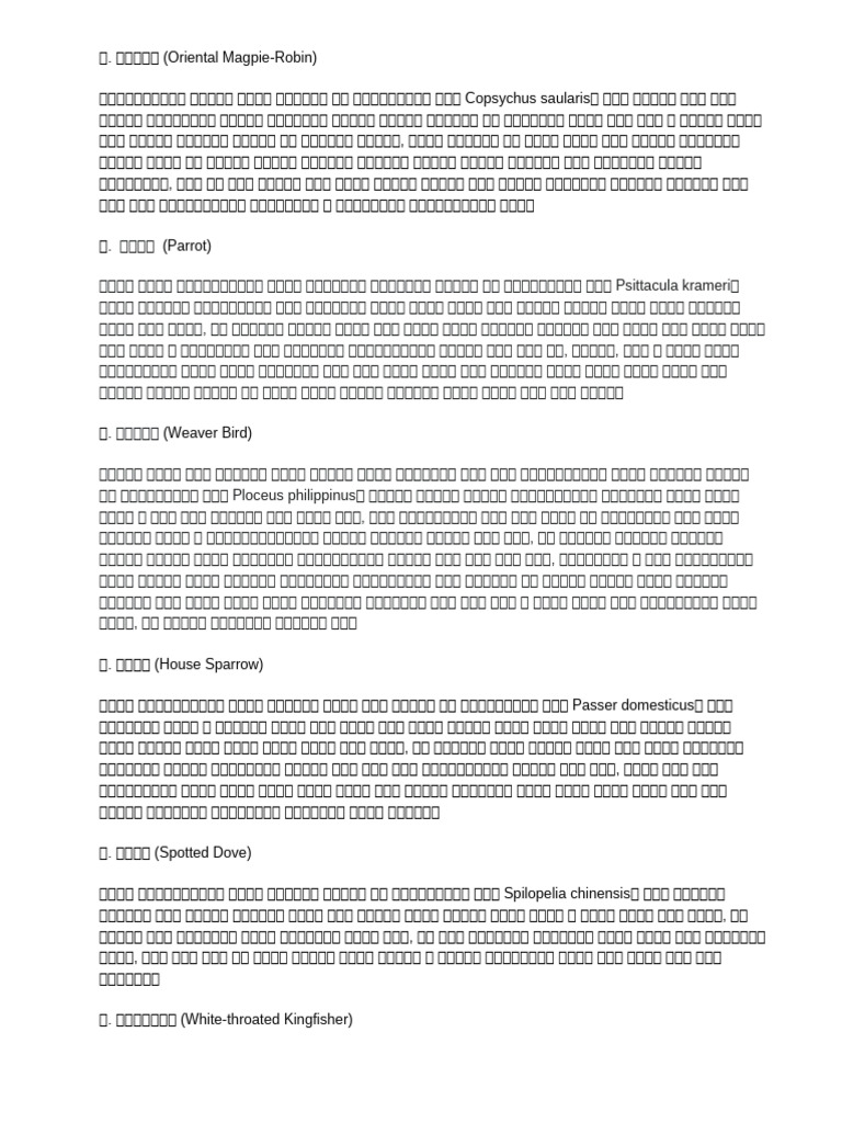 Assigmnent Birds Without Image | PDF