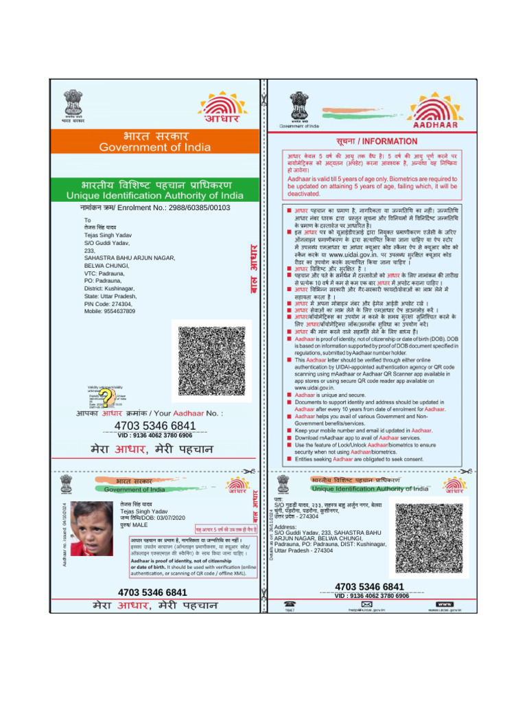Aadhaar Details for Tejas Singh Yadav | PDF | Access Control | Security ...