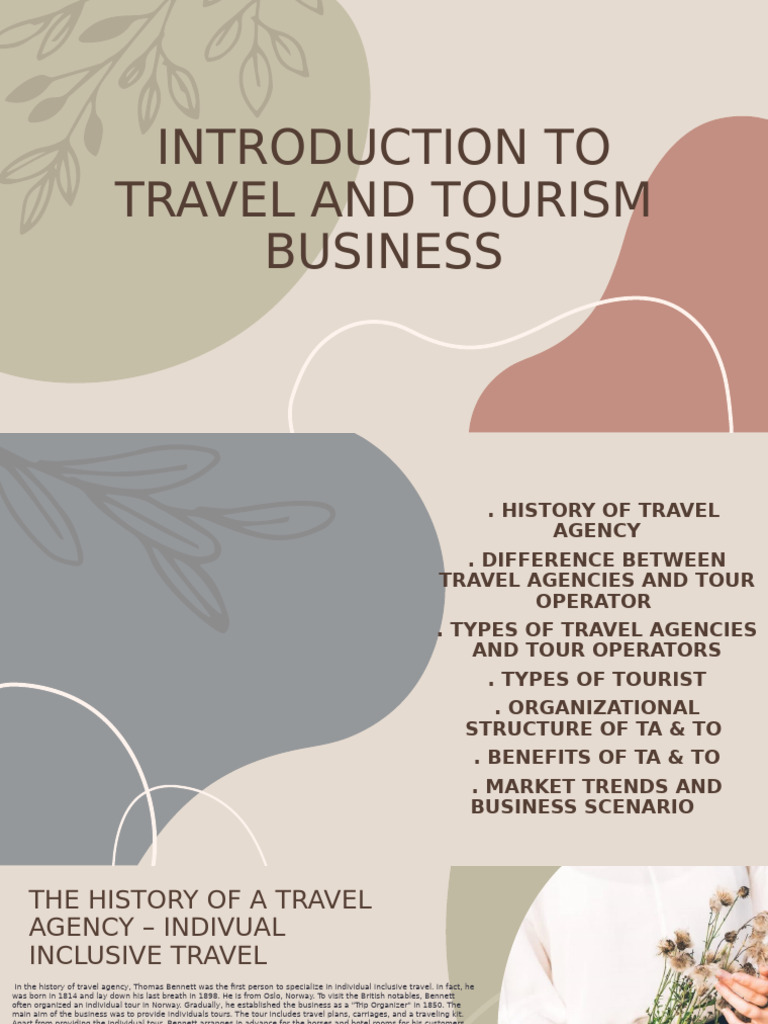 Overview of Travel and Tours Business | PDF | Travel Agency | Tourism