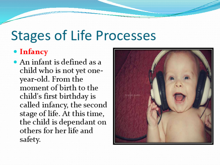Understanding Infancy Stage of Life | PDF