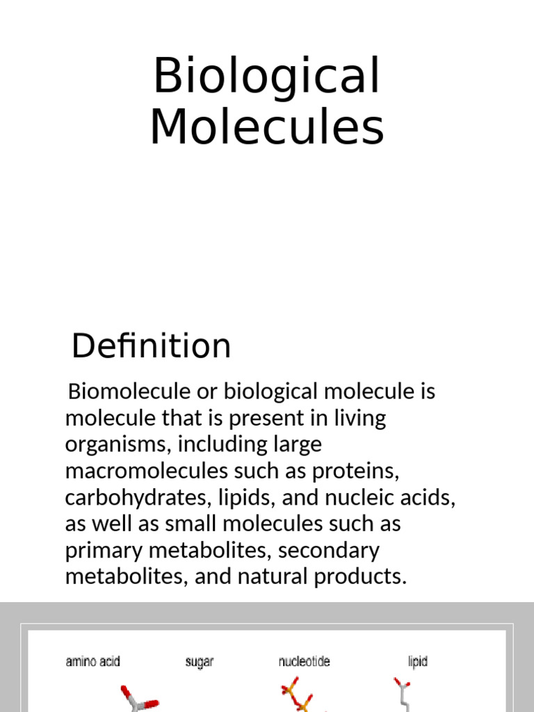 Overview of Biological Molecules | PDF | Carbohydrates | Amino Acid