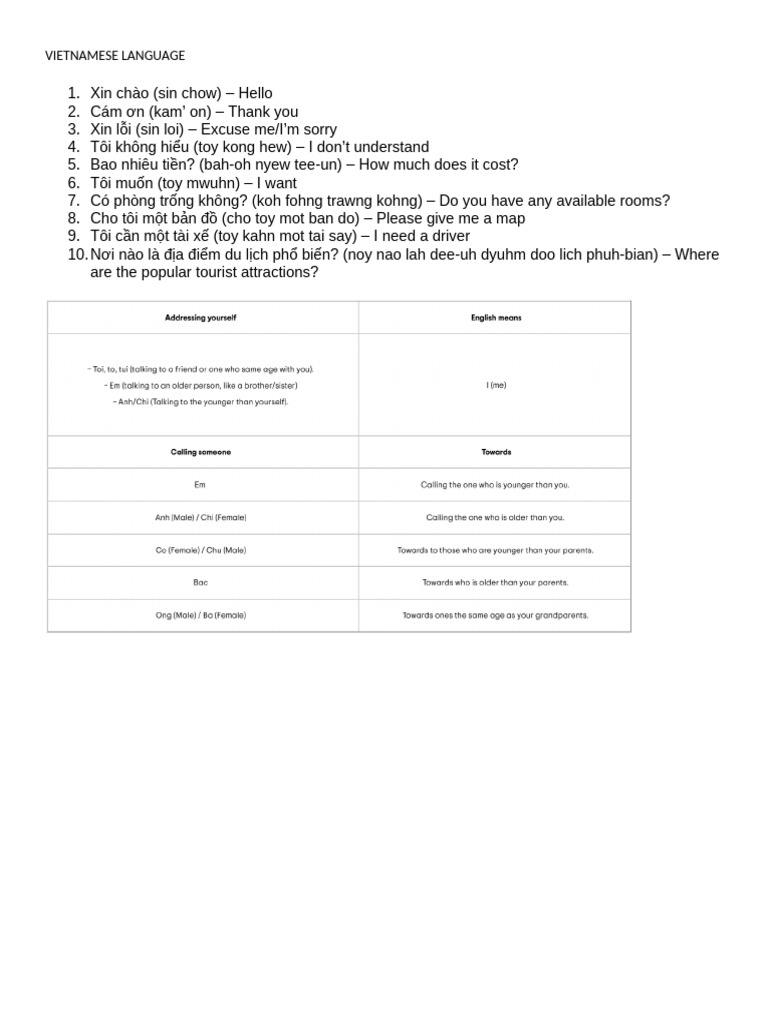 Vietnamese Language | PDF