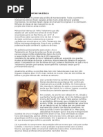 lição 1-  a Bíblia sagrada(tema relacionado)