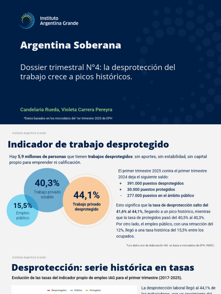 Desprotección laboral en Argentina 2025 | PDF | Desempleo | Problemas ...