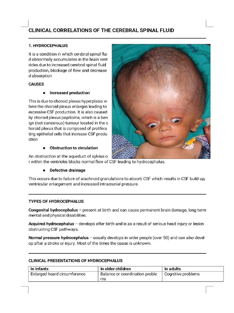 Clinical Correlations of The Cerebral Spinal Fluid - Phoenix | PDF