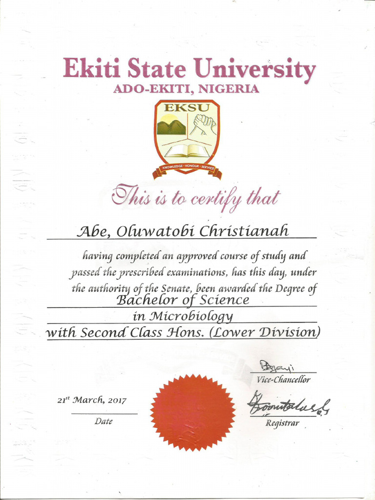 University Certificate | PDF
