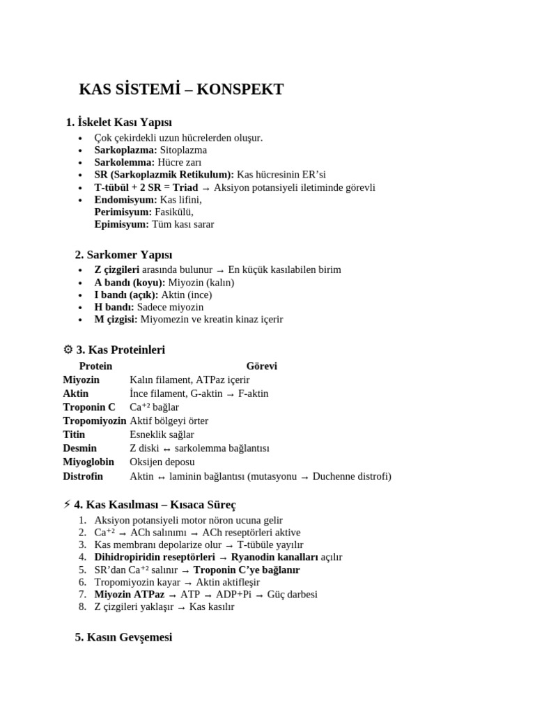 ? KAS SİSTEMİ | PDF