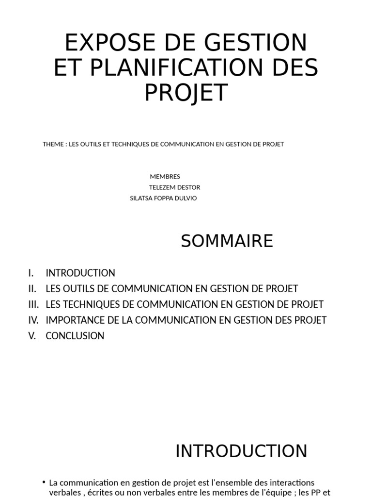 Outils et Techniques de Communication en Projet | PDF