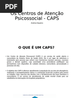 Funcionamento e Público do CAPS II | PDF