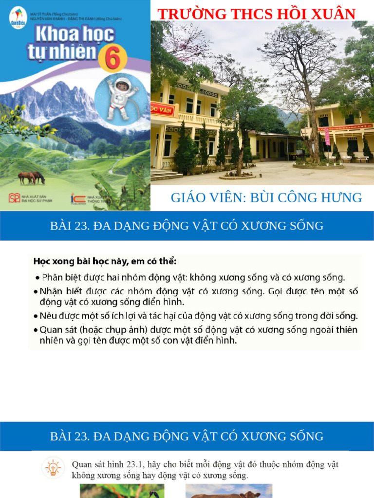 CD Bai 23 Da Dang Dong Vat Co Xuong Song | PDF
