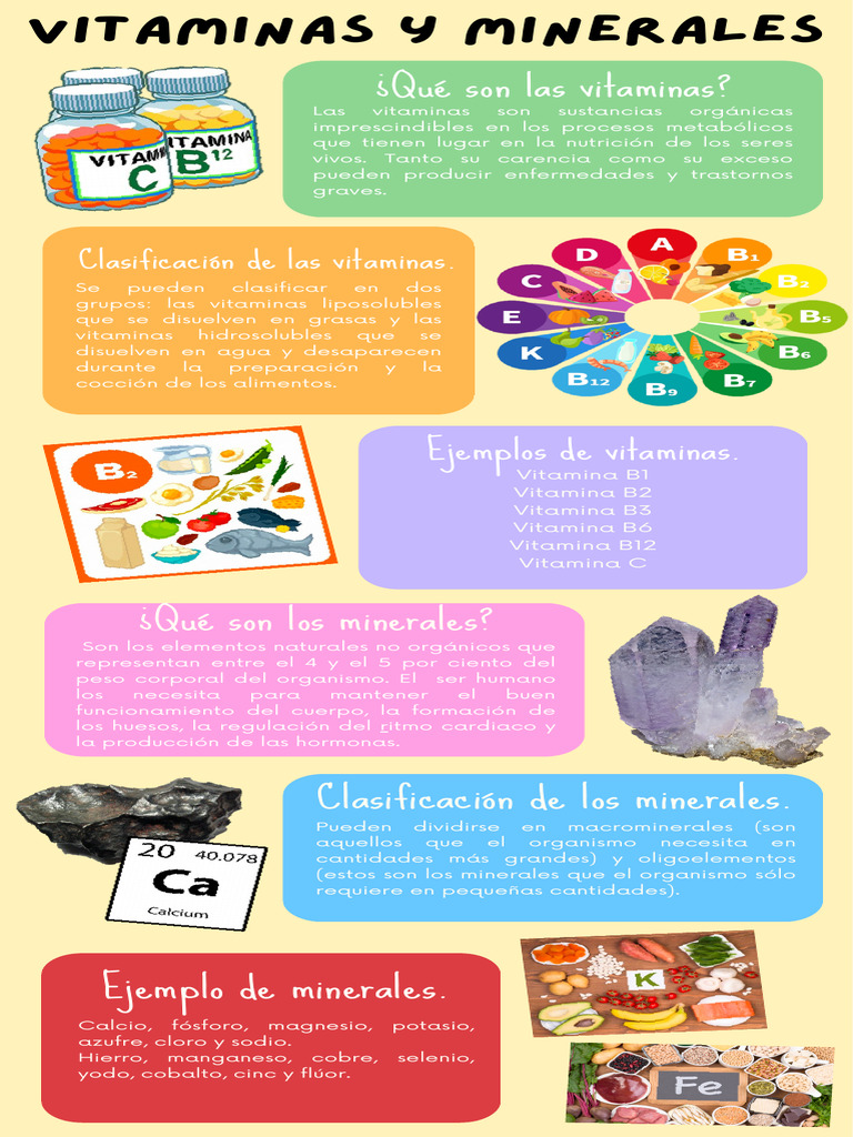 Infografia Bio Pdf Vitamina Nutrientes Esenciales