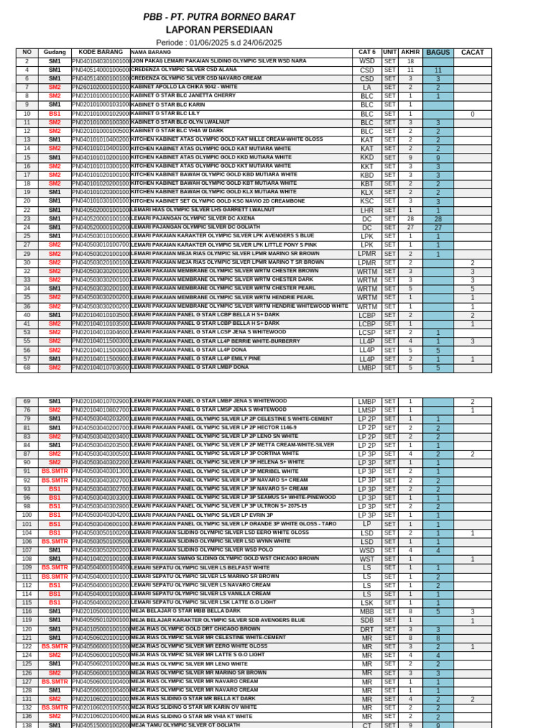 PBB Inventory Report June 2025 | PDF
