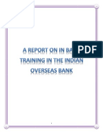Bank Traning Project Report On IOB Bank