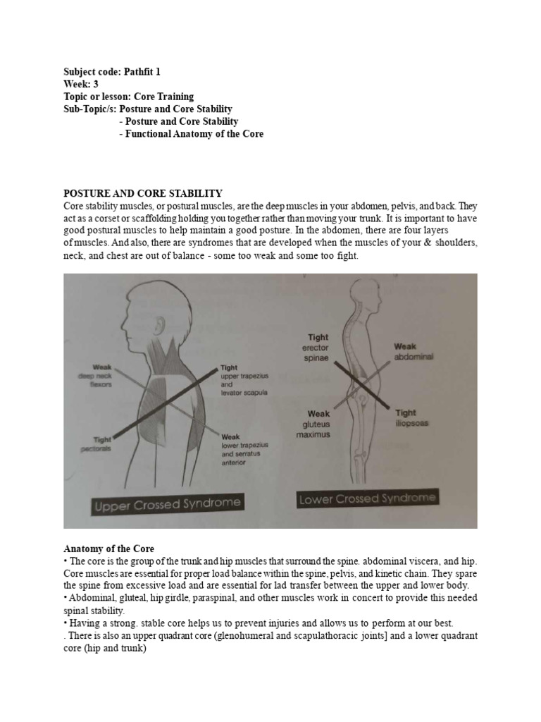 Core Training: Posture & Stability Guide | PDF