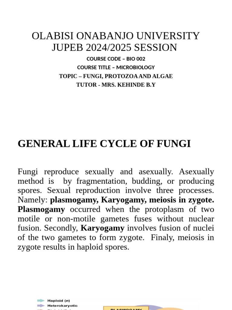 Fungi, Protozoa and Algae | PDF | Protozoa | Fungus