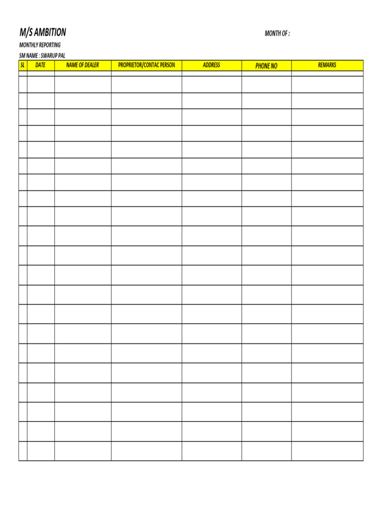 DSR 2020 Monthly Report Summary | PDF