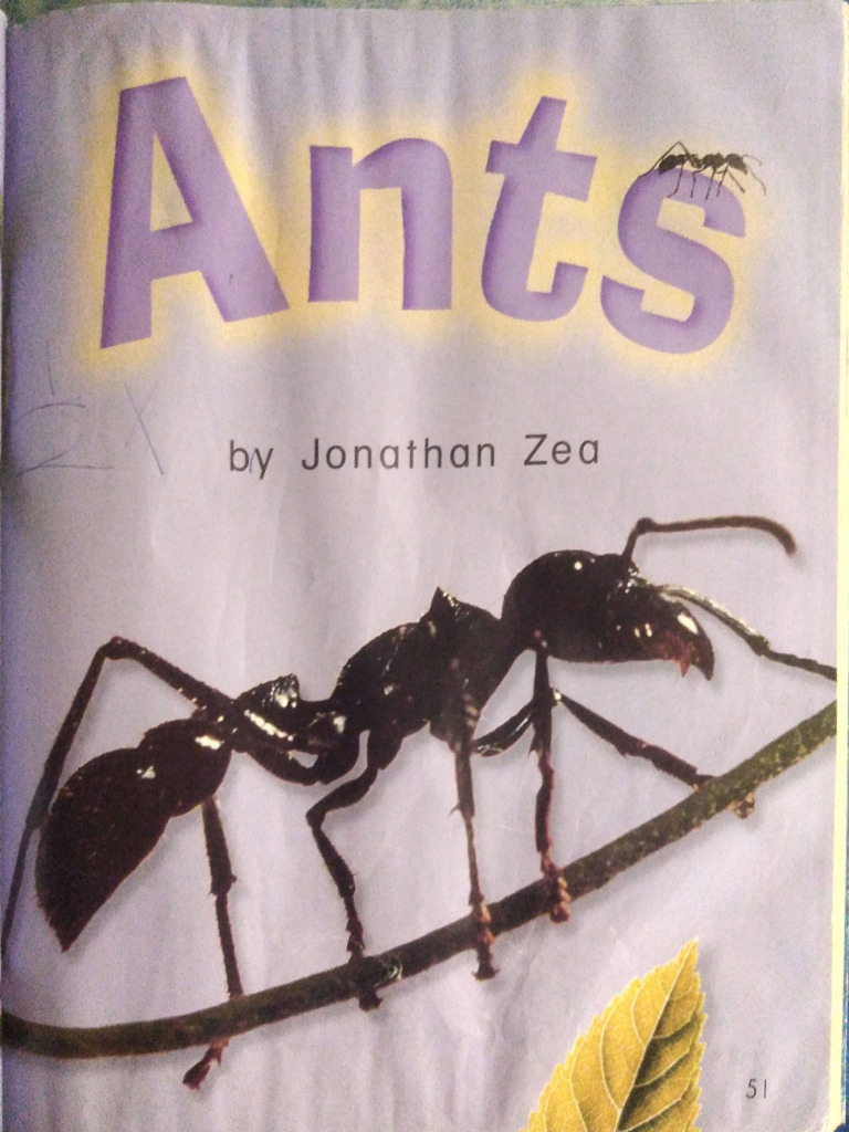Ants | PDF