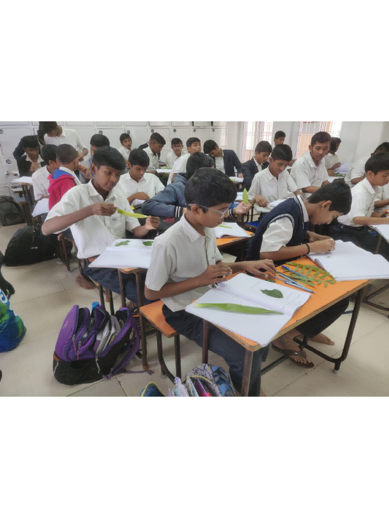 Activities 2 | PDF