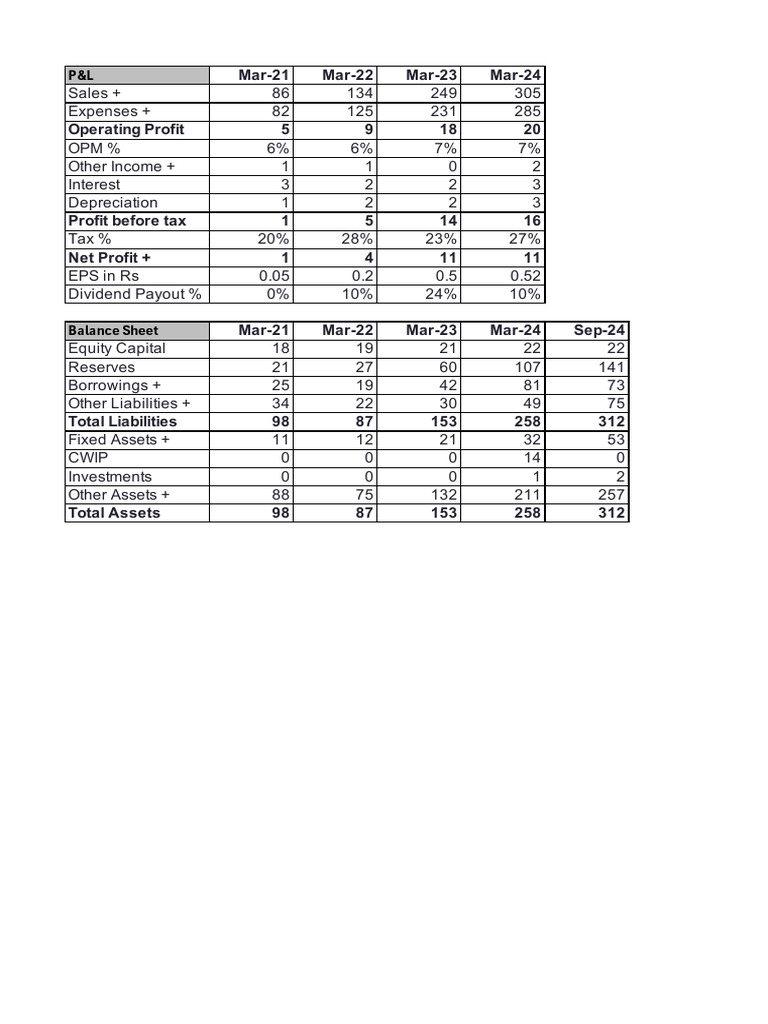 Financial Overview: P&L and Balance Sheet | PDF