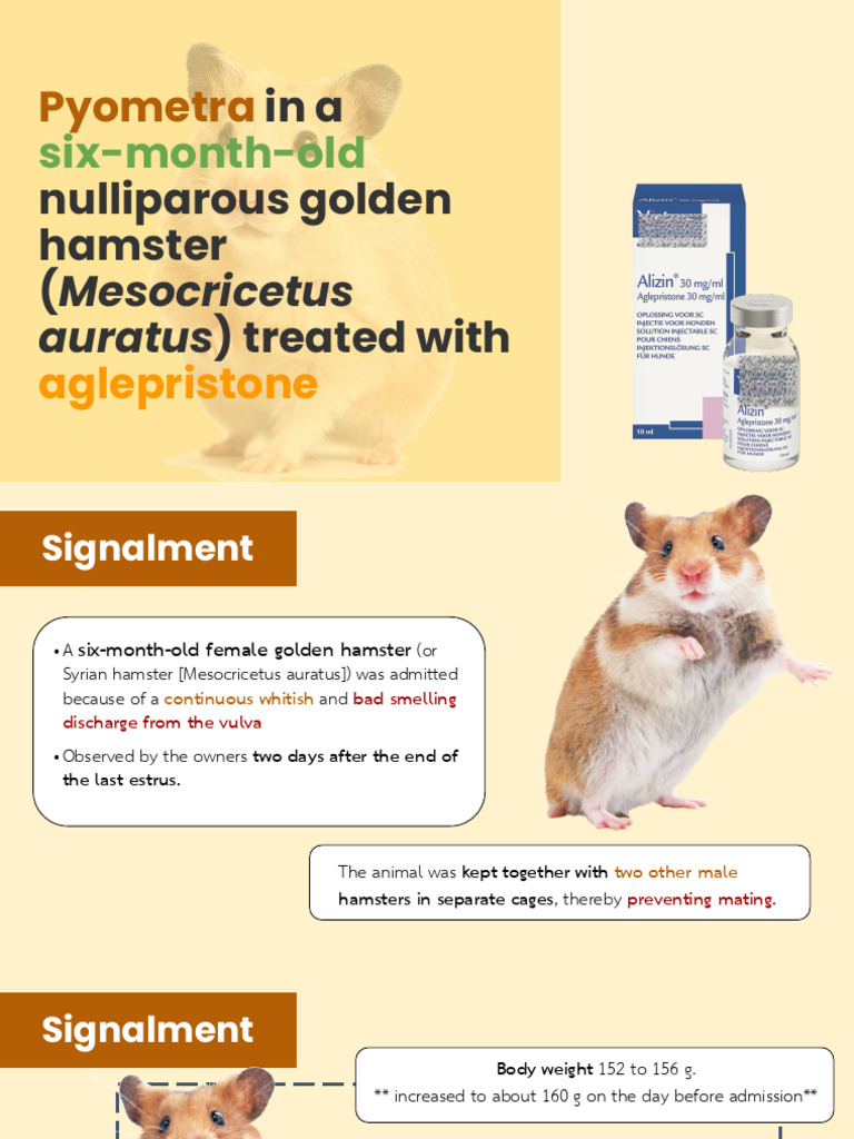Aglepristone Treat Pyometra in Hamster | PDF | Medical Specialties