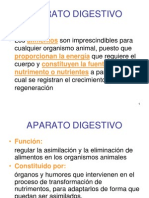 3494758-Aparato-Digestivopara Imprimir