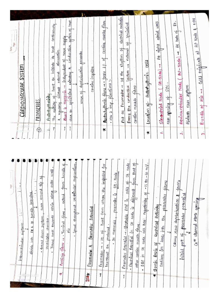 Cardiovascular Physiology - Johari | PDF