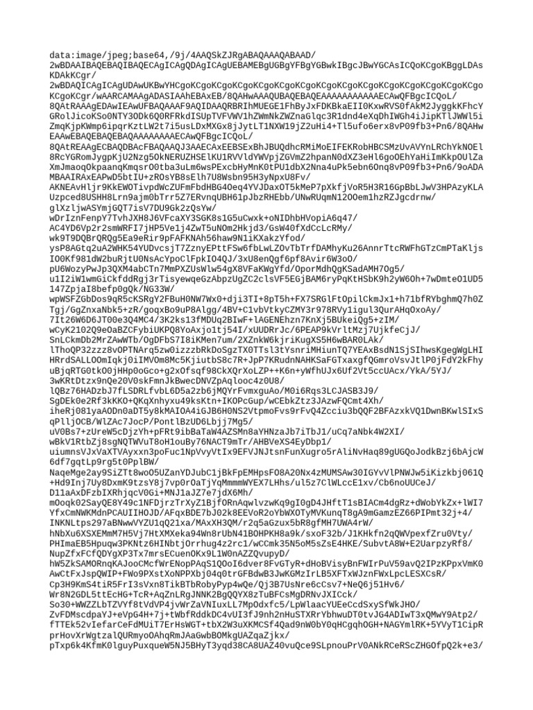 Dataimagejpeg Base 64,9 | PDF