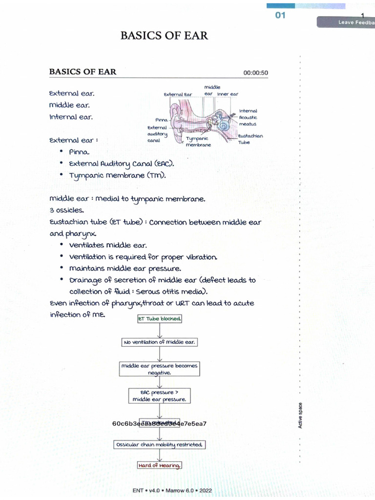 Ent | PDF