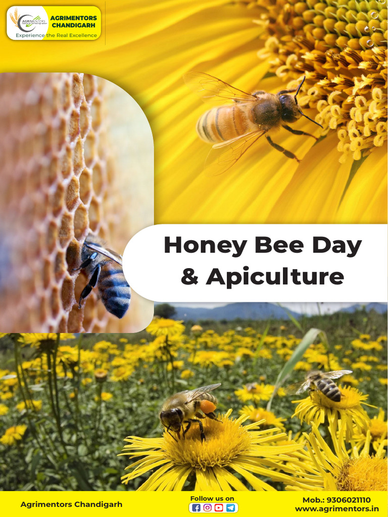 World Bee Day & Apiculture Insights | PDF | Beekeeping | Honey Bee