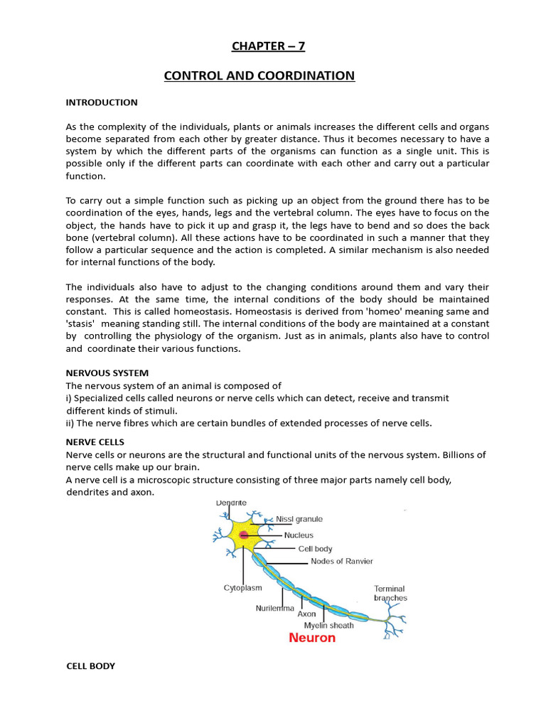 Control and Coordination in Organisms | PDF | Neuron | Axon
