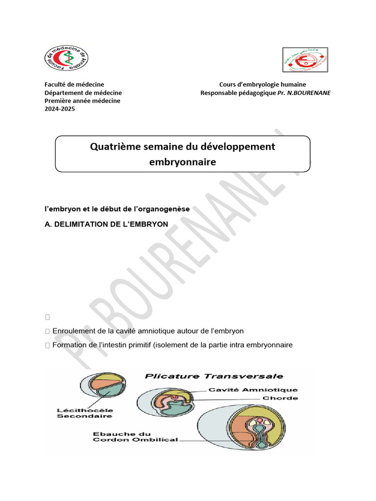 Mésenchyme intra-embryonnaire en 4e semaine | PDF | Anatomie ...