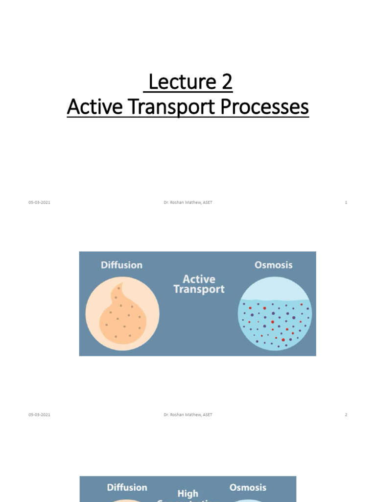 Active Transport Processes Explained | PDF | Cell Biology | Biochemistry
