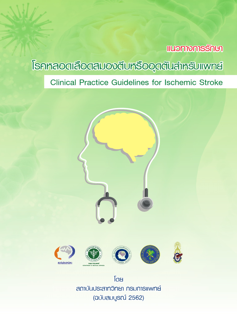 Stroke Guideline | PDF
