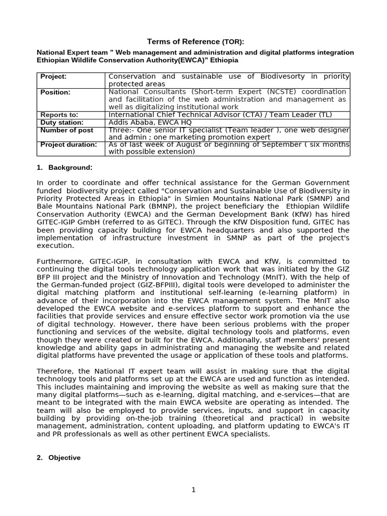 TOR IT Expert Team BY Girma Timer | PDF | Educational Technology | Websites