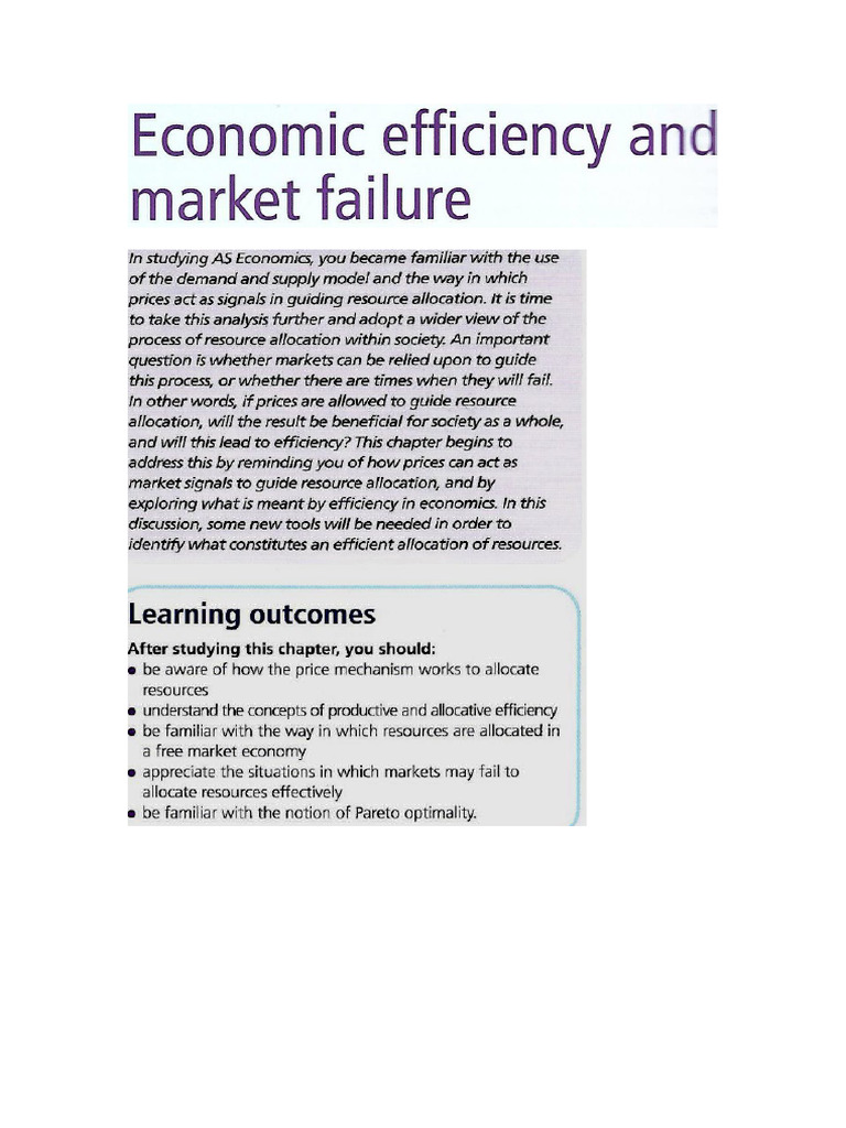 Economic Effeciency | PDF