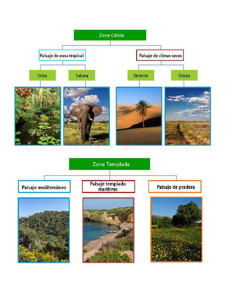 Climas Zonas Paisajes | PDF