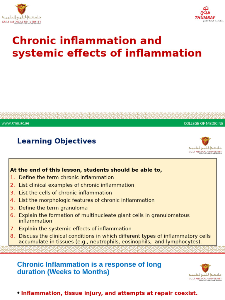 Chronic Inflammation: Causes and Effects | PDF | Inflammation | Macrophage
