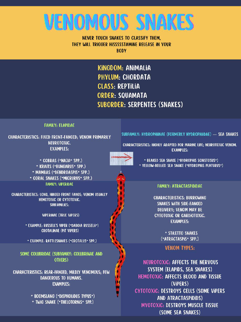 Venomous Snakes Prathamesh Shelke Roll No-210 | PDF