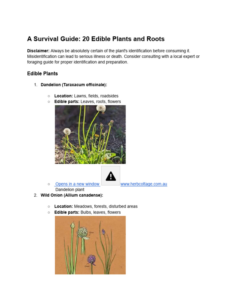 Edible Roots and Plants Survival Guide | PDF | Onion | Vegetables