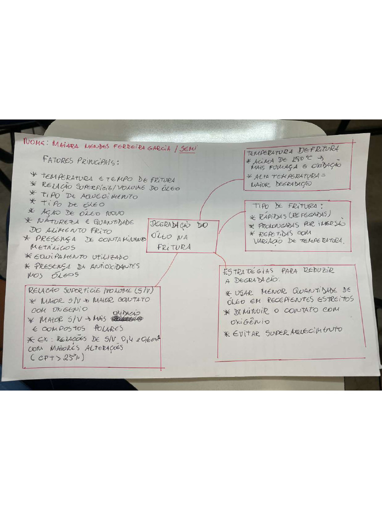 Mapa Mental 1 | PDF