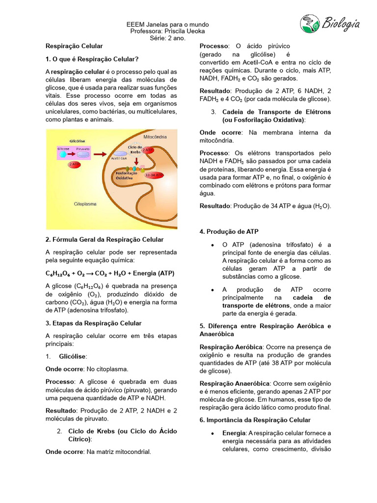 Respiração Celular E Fermentação Pdf Fermentação Respiração Celular
