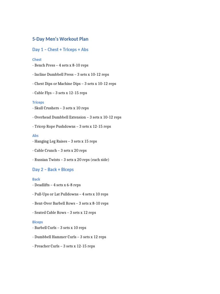 5-Day Men's Workout Routine | PDF
