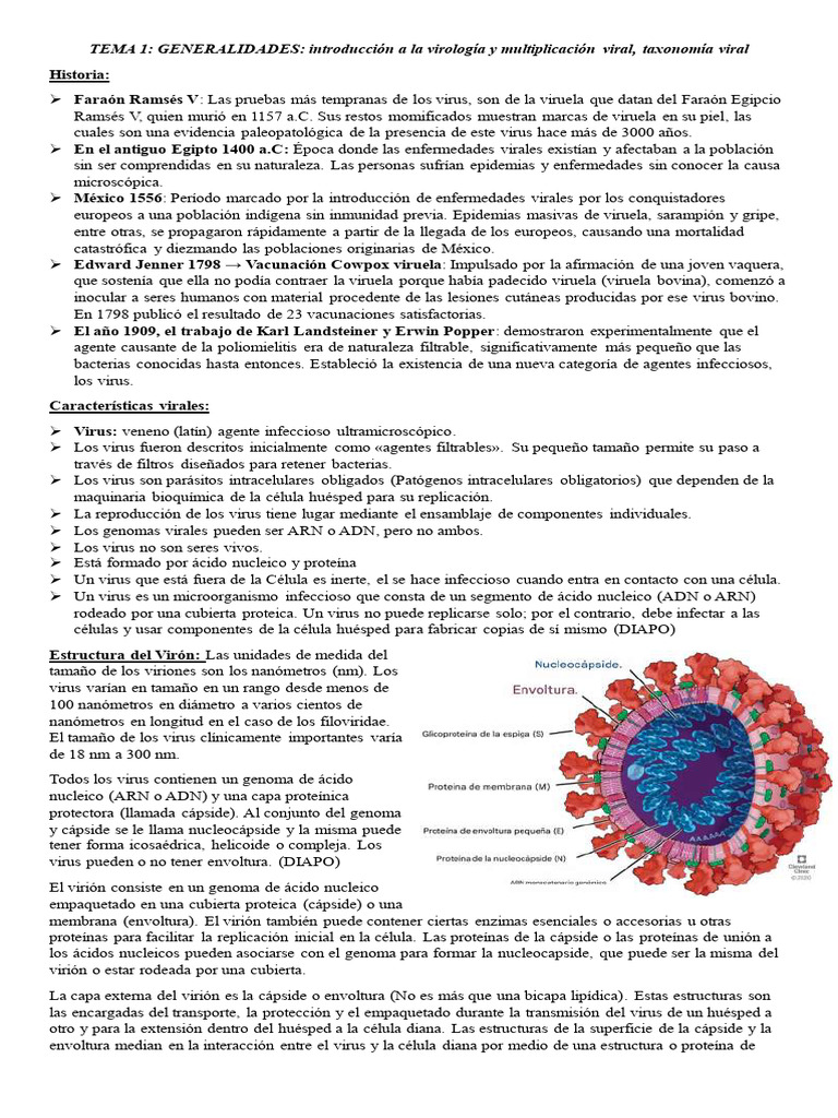 Introducción a la Virología y Virus | PDF | Virus | La transcriptasa ...