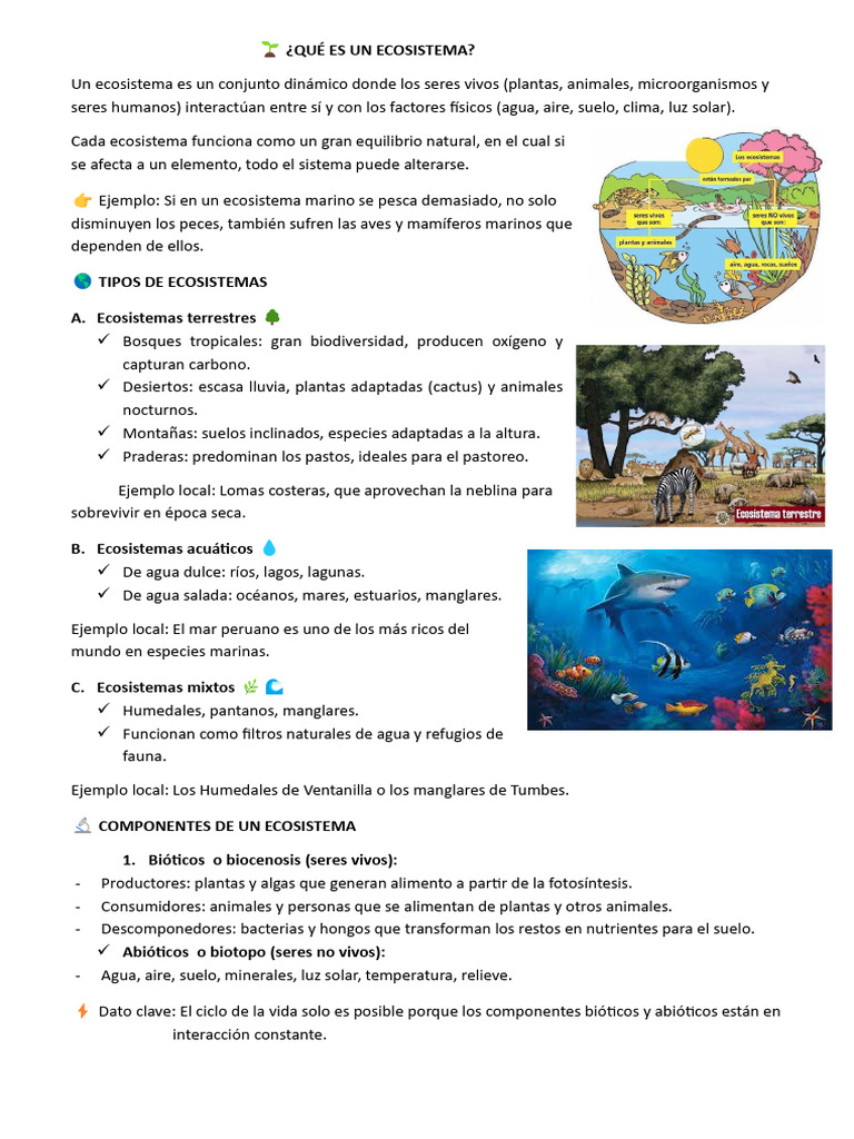 Tipos y componentes de ecosistemas | PDF | Ecosistema | Agua