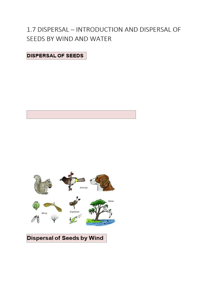Wind Seed Dispersal Methods | PDF