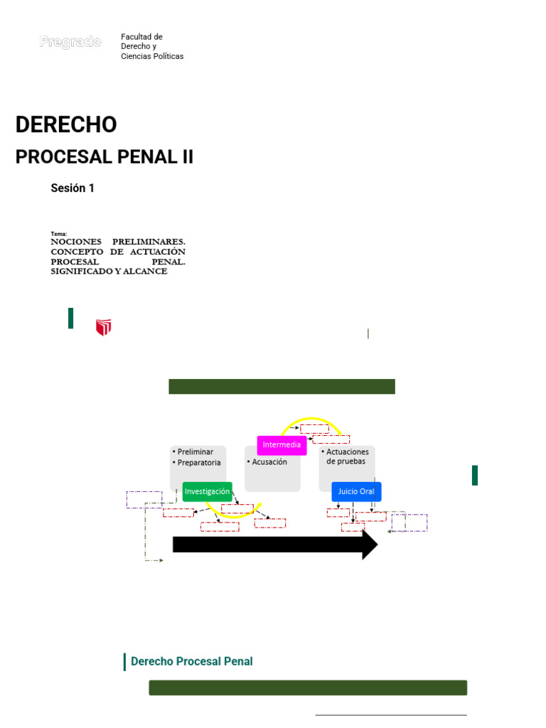 Nociones Preliminares en Derecho Procesal Penal | PDF | Ley procesal ...