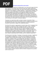 Those Winter Sundays Poem Notes | PDF