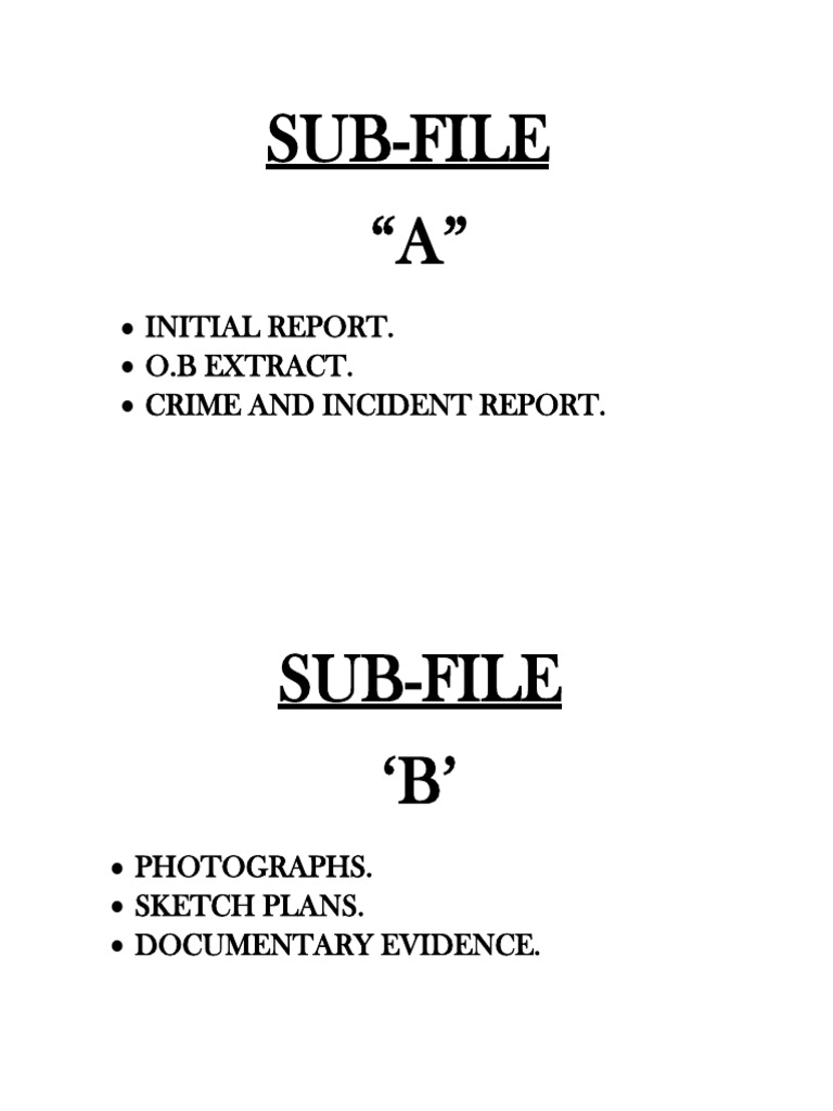 Case File Sub-Files Overview | PDF